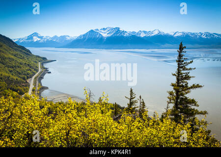 Vue panoramique de Turnagain Arm et Kenai Mountains sous ciel bleu, vert luxuriant bush en premier plan ; Alaska, États-Unis d'Amérique Banque D'Images