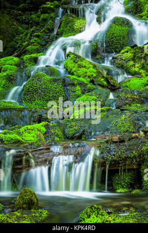 Norm's Falls sur des roches couvertes de mousse en cascade dans Winner Creek Trail dans la forêt nationale de Chugach, l'été, le centre-sud de l'Alaska Banque D'Images