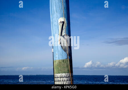 Vue rapprochée d'un pélican peint sur un poteau de téléphone, avec l'océan et de ciel bleu au-delà ; Pine Island, Floride, États-Unis d'Amérique Banque D'Images