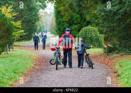 Bedgebury Pinetum National à l'étranger, dans le Kent. Une famille avec des vélos à pied le long d'un chemin Trail Banque D'Images