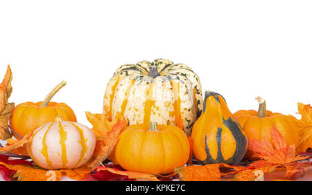 Automne décoration de citrouilles et de feuilles sur fond blanc Banque D'Images