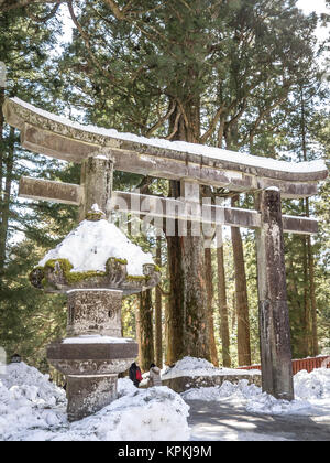 Plein de la lanterne de pierre de neige dans l'entrée principale pour accéder à Toshogu à Nikko, Japon Banque D'Images