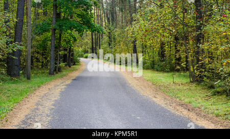 La route passe à travers la forêt d'automne Banque D'Images