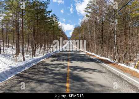 Route en hiver Banque D'Images