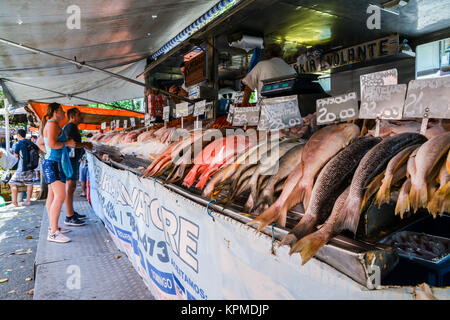 Inspecte la clientèle des poissons dans un marché de rue à Rio de Janeiro, Brésil Banque D'Images