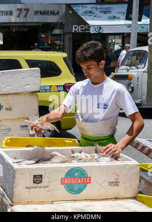 Poissonnier dans un marché à Rio de Janeiro, Brésil Banque D'Images