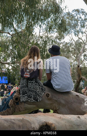 Jeune couple assis sur de grands eucalyptus arbre branche regardant les gens et les artistes à la Meredith Music Festival. Banque D'Images