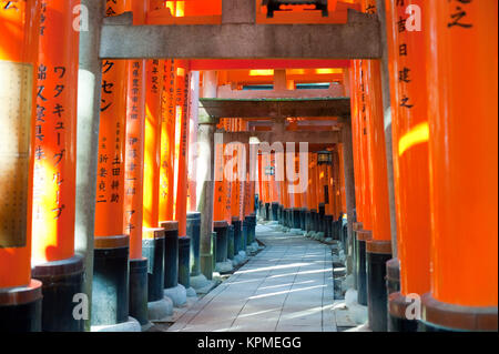 Longue rangée de Torri historique gates au Japon Banque D'Images