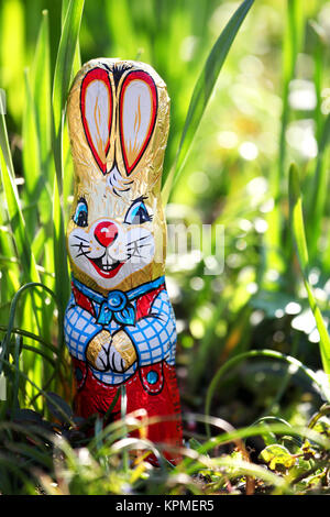 lapin de pâques dans l'herbe à pâques dans le jardin dans un panier de pâques Banque D'Images