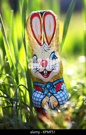 lapin de pâques dans l'herbe à pâques dans le jardin dans un panier de pâques Banque D'Images