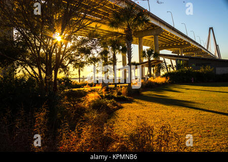 Transmission par Sun d'arbres dans un parc sous un pont Banque D'Images