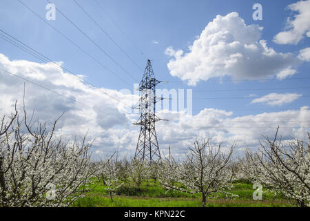 Tour de transmission dans le jardin de fleurs Banque D'Images