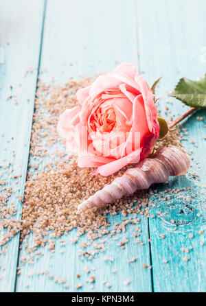 Close Up de délicates fleurs rose rose coquillage en spirale et reposant sur lit de grains éparpillés sur l'exfoliation de surface en bois peint bleu with Copy Space Banque D'Images