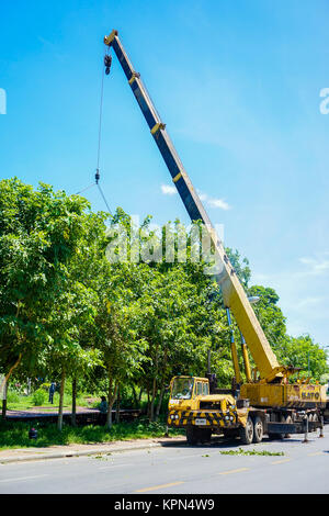 Un arbre l'élagage jardinier sur crane Banque D'Images