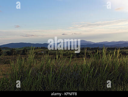 Vue sur la campagne de Henderson Drive lookout au sud-ouest d'Innisfail, à l'ouest en direction de belles collines et prises dans la baisse de la lumière au coucher du soleil Banque D'Images