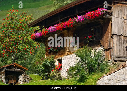 Bauernhof mit Blumen in den Alpen - ancien chalet avec des fleurs dans les Alpes Banque D'Images