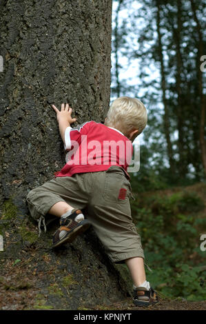 Petit garçon derrière un arbre Banque D'Images