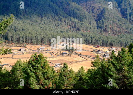 Wangdue phodrang valley,Bhoutan Banque D'Images