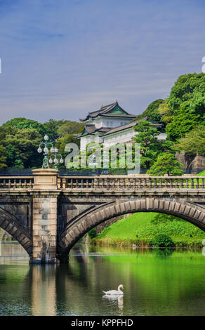 Palais Impérial de Tokyo jardins extérieurs avec le célèbre Pont Nijubashi et un cygne Banque D'Images