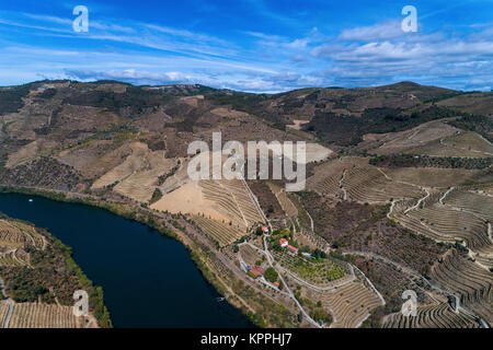 Vue aérienne de la rivière Douro et les pentes en terrasses et une succession de vin au Portugal, Europe ; Concept pour voyager au Portugal et th Banque D'Images
