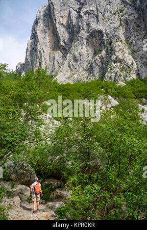 Sentier à travers les gorges de calcaire, le parc national de Paklenica, Croatie Banque D'Images