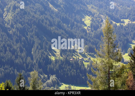 La pente sur laquelle une forêt sombre et dense se développe et on peut y voir de petits prés, des huttes et des maisons et tout ceci peut être vu à partir de Grindelwald Banque D'Images