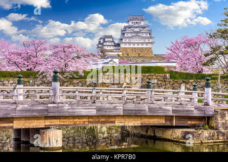 Himeji, Japon à Himeji Castle dans la saison du printemps. Banque D'Images