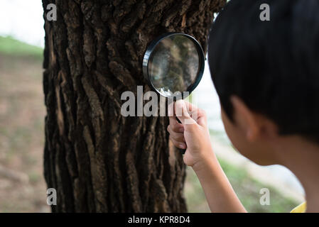 Jeune garçon asiatique examiner une écorce d'arbre à l'aide d'une loupe. hobby concept Banque D'Images