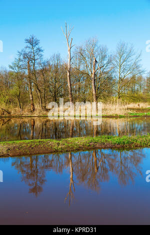 En plaine Les Pays-Bas Banque D'Images