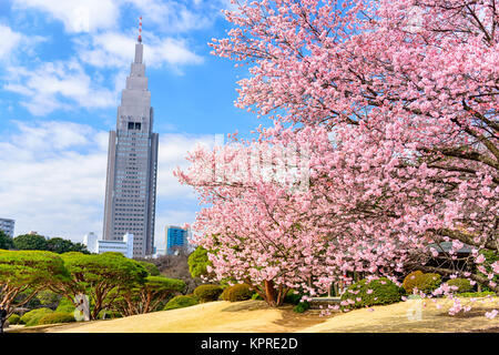 Tokyo, Japon Printemps Banque D'Images