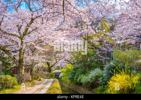 Kyoto, au Japon, au printemps. Banque D'Images