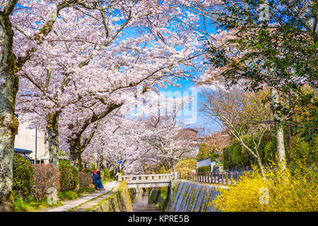 Kyoto, au Japon, au printemps. Banque D'Images