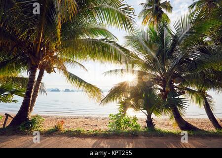 Magnifique lever de soleil sur la plage. Avis de Ko Yao Noi situé entre l'île de Phuket et de Krabi en Thaïlande. Banque D'Images