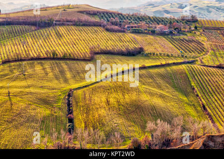 Vue de la distribution de l'électricité sur la ligne de vignes et champs cultivés dans badlands en campagne italienne Banque D'Images