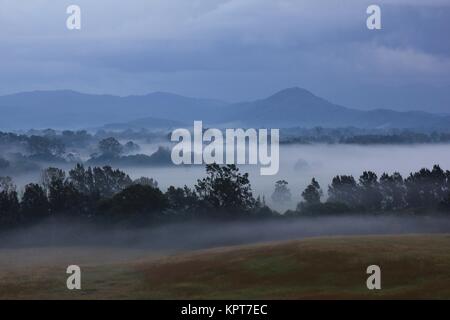 Matin le brouillard et les arbres à proximité de Wauchope. Les régions rurales de l'Australie. Banque D'Images