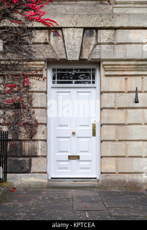 Porte en bois blanc fermé dans mur de pierre avec plante grimpante décorative Banque D'Images