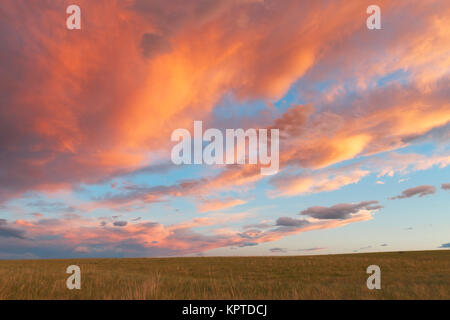 Les nuages au-dessus d'un champ herbeux tour rose et orange avec le soleil couchant. Fort Collins, Colorado. Banque D'Images