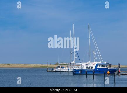 Sail Boat Harbour en Allemagne, Marina Wendtorf Banque D'Images