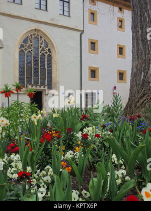 Variété de fleurs devant les maisons anciennes Banque D'Images