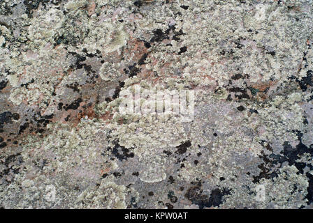 La texture de fond, - surface rugueuse d'un rocher recouvert de plusieurs sortes de lichens Banque D'Images