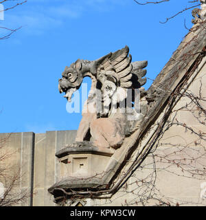 Close up d'un grotesque perché sur le Cobb Gate à l'Université de Chicago. Banque D'Images