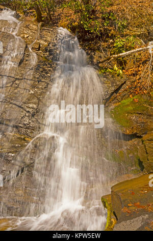 Belle Cascade dans les montagnes Banque D'Images