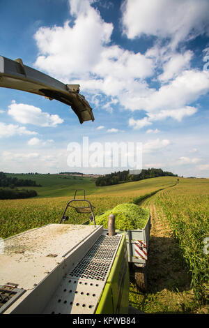 Moissonneuse-batteuse moderne le déchargement dans les camions de maïs vert Banque D'Images