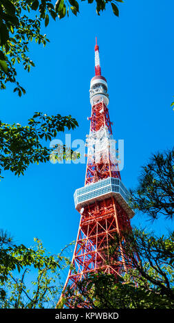 La tour de Tokyo en été et un arbre vert le Mai 13,2016 à Tokyo, Japon Banque D'Images