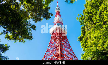 La tour de Tokyo en été et un arbre vert le Mai 13,2016 à Tokyo, Japon Banque D'Images