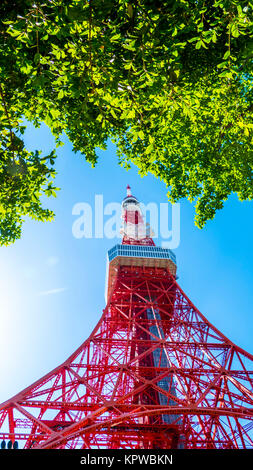 La tour de Tokyo en été et un arbre vert le Mai 13,2016 à Tokyo, Japon Banque D'Images