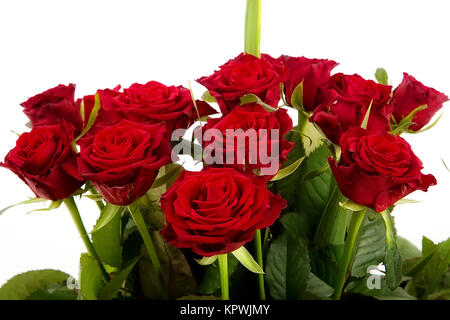 Roses rouges Banque D'Images