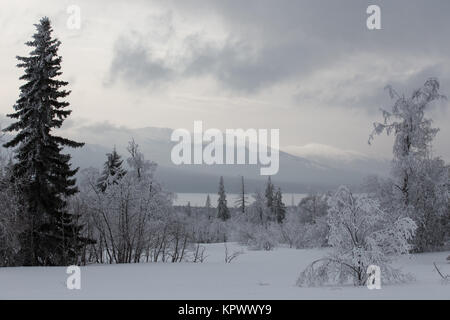 Paysage d'hiver en Zuratcul réserver, au sud de l'Oural, Russie