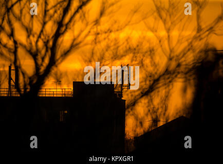 Merton, Londres, Royaume-Uni. 17 Décembre, 2017. L'aube sur les toits avec une forte gelée et ciel coloré 8 jours avant la veille de Noël. Credit : Malcolm Park/Alamy Live News. Banque D'Images