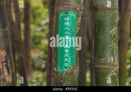 Chengdu, Chengdu, Chine. 25Th Dec 2017. Chengdu, Chine du 17e Décembre 2017 :(usage éditorial uniquement. Chine), les bambous sont gravés par les touristes avec des mots de langues différentes au Pavillon Lijing Park à Chengdu, dans le sud-ouest de la province chinoise du Sichuan. Crédit : SIPA Asie/ZUMA/Alamy Fil Live News Banque D'Images